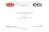 Seminarski rad iz Sociologije rada - Ivana Mirković.pdf