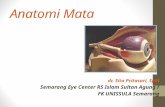 1. Anatomi Mata - Dr. Sita