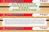 Elementos Financieros Para Proyectos