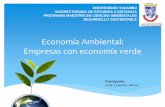 Economía Ambiental- L. Jaimes