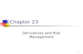 Ch23 Derivatives and Risk Management