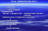 Hemostasis 2008