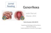Gonorrhoea Jurnal PPT