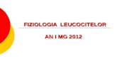 Fiziologia leucocitelor