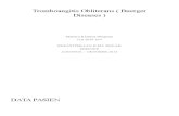 Tromboangitis Obliterans ( Buerger Diseases )