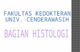 HISTOlogi  HISTOTEKNIK