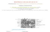 Biofísica Celular