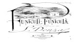 IMSLP148203-PMLP111512-Denza - Funiculi Funicula vs Sibley.1802.8869