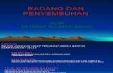 Kuliah Dr.henny Radang Akut&Kronik