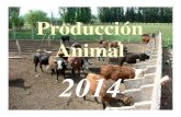 Introducción a La Producción Animal 2014