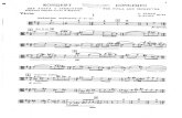 97171438 Bunin Viola Concerto Viola Part 1