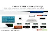 Sistema Interconexion DSE890