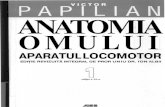 [Www.fisierulmeu.ro] Anatomie Papilian