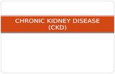 Chronic Kidney Disease Presbes