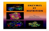Ordonez Victor - Enzymes et nutrition.pdf