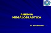 6)Anemia Megaloblastica Jma