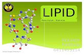 Lipid Biokimia