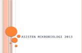 Asisten Mikrobiologi 2013