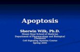 Apoptosis Sherwin Wilk, Ph.D. Mount Sinai School of Medicine Department of Pharmacology and Biological Chemistry Cell Signaling Systems Course Spring 2005.