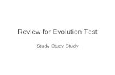 Review for Evolution Test Study Study Study. In humans, the pelvis and the femur, or thighbone, are involved in walking. In whales, the pelvis and femur.