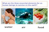 What are the three essential elements for us human beings to survive on the earth? water air food.