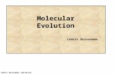 Cédric Notredame (08/12/2015) Molecular Evolution Cédric Notredame.