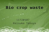 11720107 Keisuke Taruya.  How much bio crop waste is there in Fukui Prefecture, and in all of japan?  How much energy can be made from it?  What is.