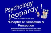 Chapter 6: Sensation & PerceptionChapter Questions compiled by Sue Boland, LHU of PA Program developed by Dan Hosey, Bucknell U. Click on “Chapter” to.