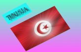 La Tunisia è un paese del Maghreb, la fascia costiera dell'Africa... Posizione geografica della Tunisia e confini La Tunisia confina ad ovest con l'Algeria.