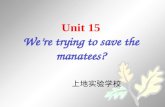 Unit 15 We’re trying to save the manatees? 上地实验学校.