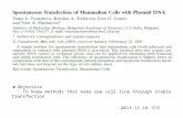 ▶ Objective : To know methods that make new cell line through stable transfection 2013.11.16 김준섭.