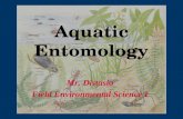 Aquatic Entomology Mr. Distasio Field Environmental Science I.