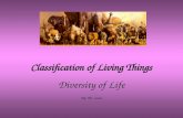 Classification of Living Things Diversity of Life By: Mr. Lowe.