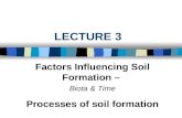LECTURE 3 Factors Influencing Soil Formation – Biota & Time Processes of soil formation.
