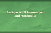 Antigen AND Immunogen and Antibodies. اهداف آموزشي در این جلسه : مقايسه وتفاوت آنتی ژن و ایمنوژن و هاپتن مقايسه وتفاوت