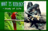 . Study of life Study of life Chapter 1 Biology: The Study of Life Characteristics of Life Characteristics of Life Scientific Methodology Scientific.