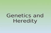 Genetics and Heredity. Vocabulary Dominant- traits that are expressed. Dominant- traits that are expressed. Recessive- traits that are covered up. Recessive-