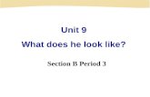 Unit 9 What does he look like? Section B Period 3.
