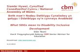 Title of document to go here Date 1 Siambr Hywel, Cynulliad Cenedlaethol Cymru / National Assembly of Wales Beth mae’r Nodau Datblygu Cynaladwy yn golygu.