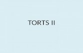 TORTS II. Try to think of the best English or Czech equivalents to the following collocations The group with the highest number of correct collocations.