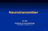1 Neurotransmitter Su Bo Institute of neurobiology 0531-88382329; bxs103@sdu.edu.cn.