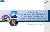 Internship September 21 - October 21 University of Sannio Benevento, Campania, Italy By student: Ana HUBCA Technical University of Moldova.