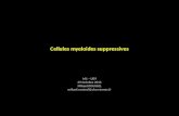Cellules myeloides suppressives M1 – UE9 29 Octobre 2015 Mikael ROUSSEL mikael.roussel@chu-rennes.fr.