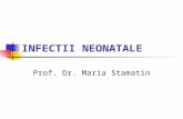 INFECTII NEONATALE Prof. Dr. Maria Stamatin. Sindromul TORCH Incidenţa generală a infecţiilor din cadrul sindromului TORCH este de aproximativ 2,5%o din.