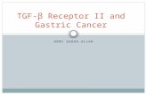 DEMI DABOR-ALLOH TGF-β Receptor II and Gastric Cancer.