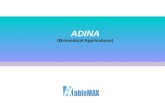 ADINA (Biomedical Applications). CAE ENGINEERING TOTAL SOLUTION  2 ADINA CONTENTS FSI 2 Application 3 4 Introduction 1 Module.