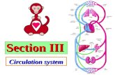 Section III Circulation system. Overview of Cardiovascular Diseases §Common Cardiac Diseases §Abnormal contractility ： Heart failures §Abnormal rhythms.