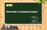 What Makes a Professional Teacher? Phyllis. Liu. Professional teachers go above and beyond to ensure that each child is successful. Many of us have had.