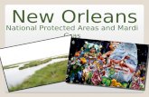 New Orleans National Protected Areas and Mardi Gras.