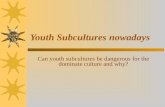 Youth Subcultures nowadays Can youth subcultures be dangerous for the dominate culture and why?